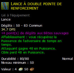 Lance à double pointe de renforcement