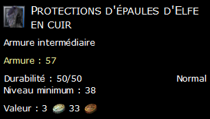 Protections d'épaules d'Elfe en cuir