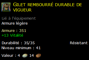 Gilet rembourré durable de vigueur