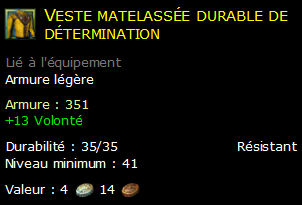 Veste matelassée durable de détermination