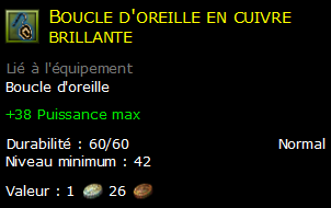 Boucle d'oreille en cuivre brillante