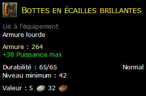 Bottes en écailles brillantes