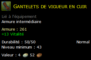 Gantelets de vigueur en cuir