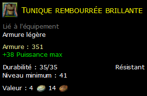 Tunique rembourrée brillante