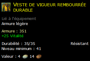 Veste de vigueur rembourrée durable