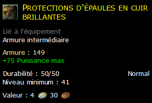 Protections d'épaules en cuir brillantes