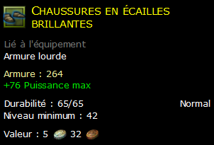 Chaussures en écailles brillantes