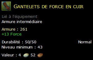 Gantelets de force en cuir