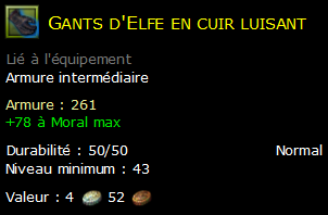 Gants d'Elfe en cuir luisant