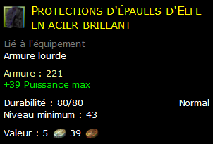 Protections d'épaules d'Elfe en acier brillant