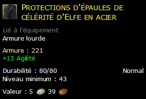 Protections d'épaules de célérité d'Elfe en acier