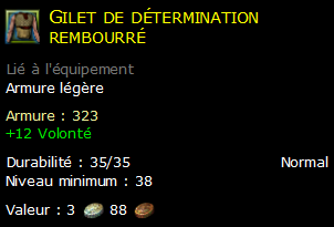 Gilet de détermination rembourré