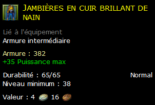 Jambières en cuir brillant de nain