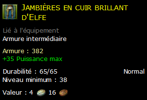 Jambières en cuir brillant d'Elfe