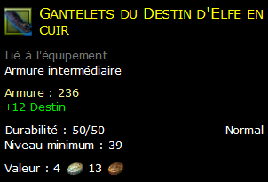 Gantelets du Destin d'Elfe en cuir