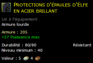 Protections d'épaules d'Elfe en acier brillant