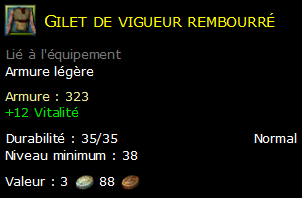 Gilet de vigueur rembourré