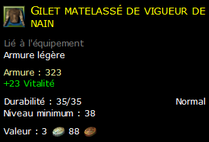 Gilet matelassé de vigueur de nain