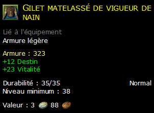 Gilet matelassé de vigueur de nain