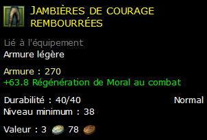 Jambières de courage rembourrées