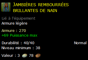 Jambières rembourrées brillantes de nain