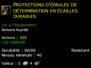 Protections d'épaules de détermination en écailles durables