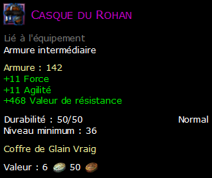 Casque du Rohan