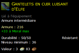 Gantelets en cuir luisant d'Elfe