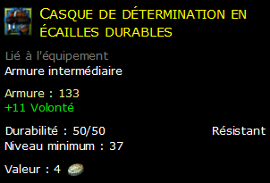 Casque de détermination en écailles durables