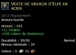 Veste de vigueur d'Elfe en acier