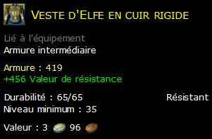 Veste d'Elfe en cuir rigide