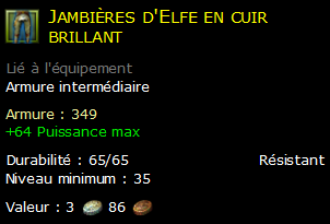 Jambières d'Elfe en cuir brillant