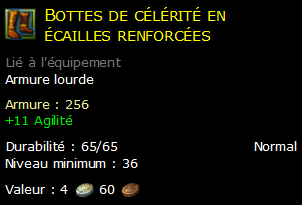 Bottes de célérité en écailles renforcées