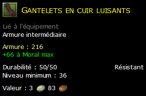 Gantelets en cuir luisants