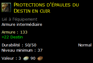 Protections d'épaules du Destin en cuir