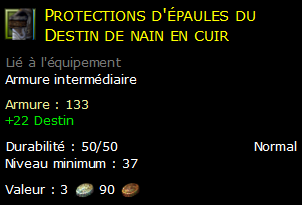 Protections d'épaules du Destin de nain en cuir