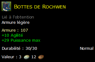 Bottes de Rochwen