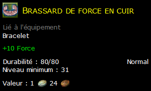 Brassard de force en cuir