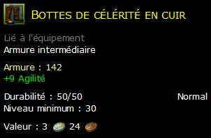 Bottes de célérité en cuir