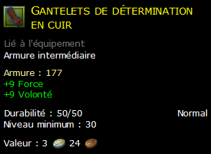 Gantelets de détermination en cuir