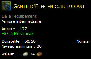 Gants d'Elfe en cuir luisant