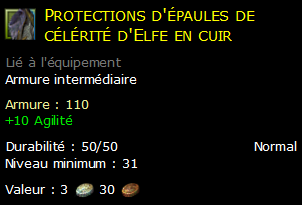 Protections d'épaules de célérité d'Elfe en cuir