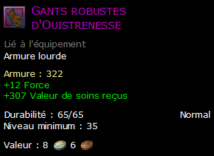 Gants robustes d'Ouistrenesse