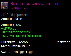 Bottes de chevalier elfe brunies