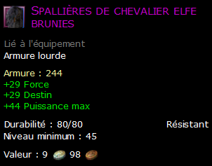 Spallières de chevalier elfe brunies