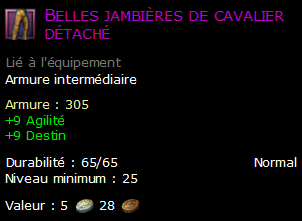 Belles jambières de cavalier détaché