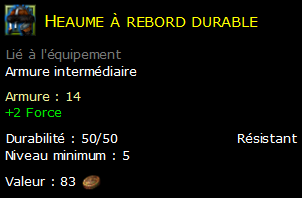 Heaume à rebord durable