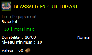 Brassard en cuir luisant