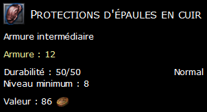 Protections d'épaules en cuir