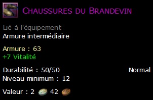 Chaussures du Brandevin